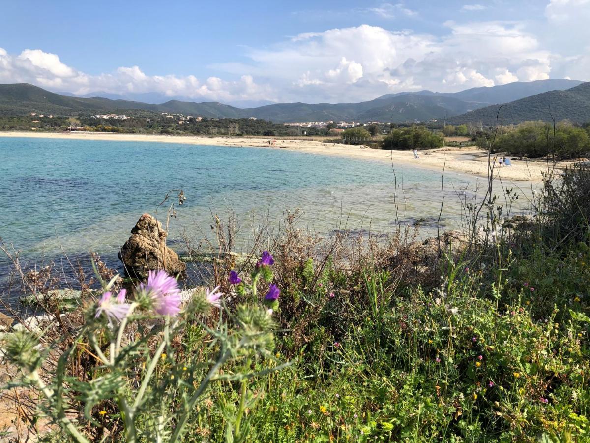 Villa à 900 m de la plage de Lozari Belgodère Exterior foto